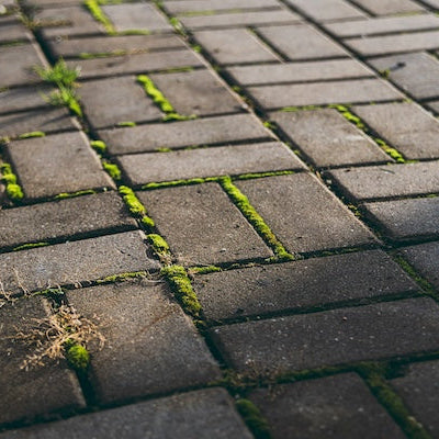 Managing Slippery Surfaces: How to Clean, Treat and Protect Moss‑Covered Pavements