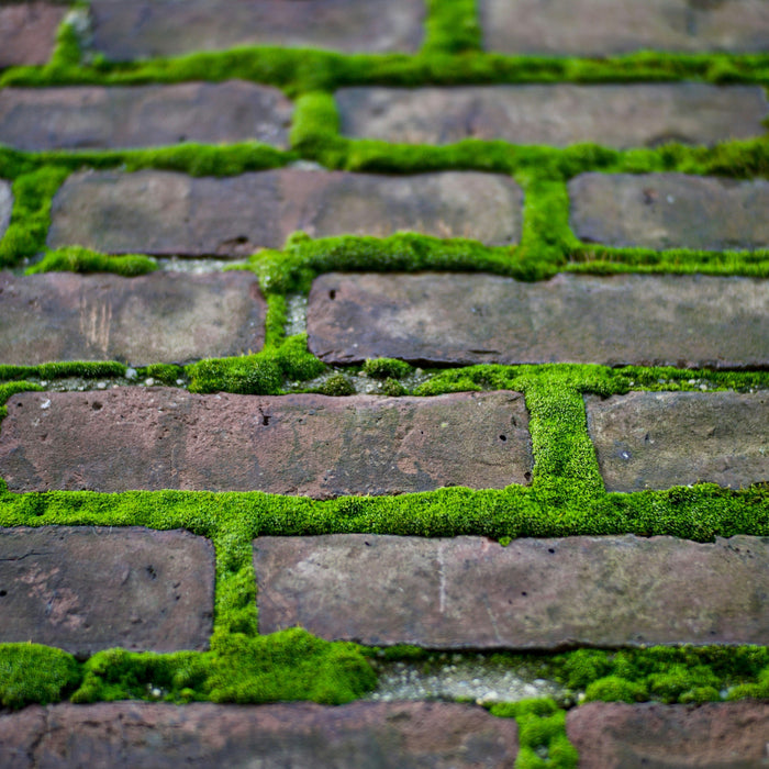 The Top 3 Epicuro Products You Need This Winter