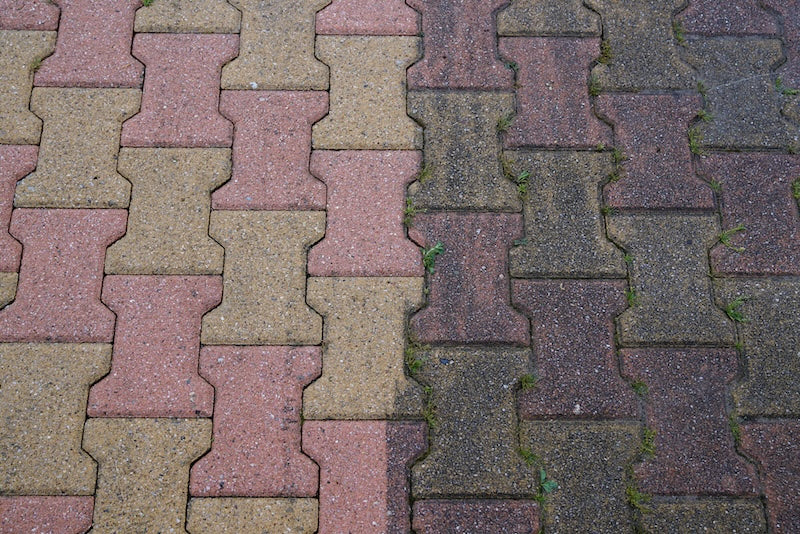 Epicuro Anti-moss