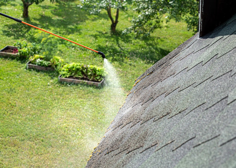 Epicuro Anti-moss